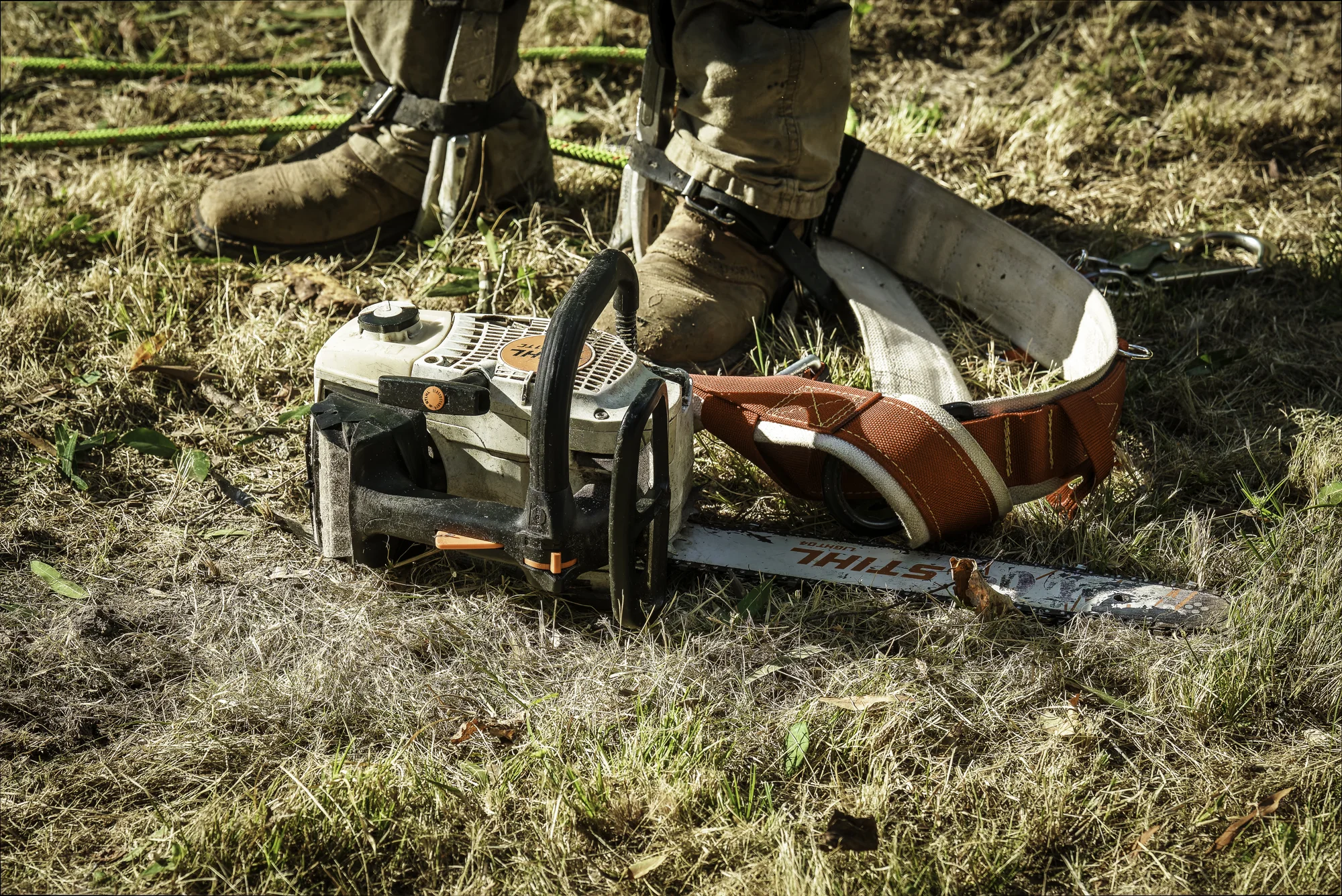 Chainsaw and climbing equipment beside a tree worker